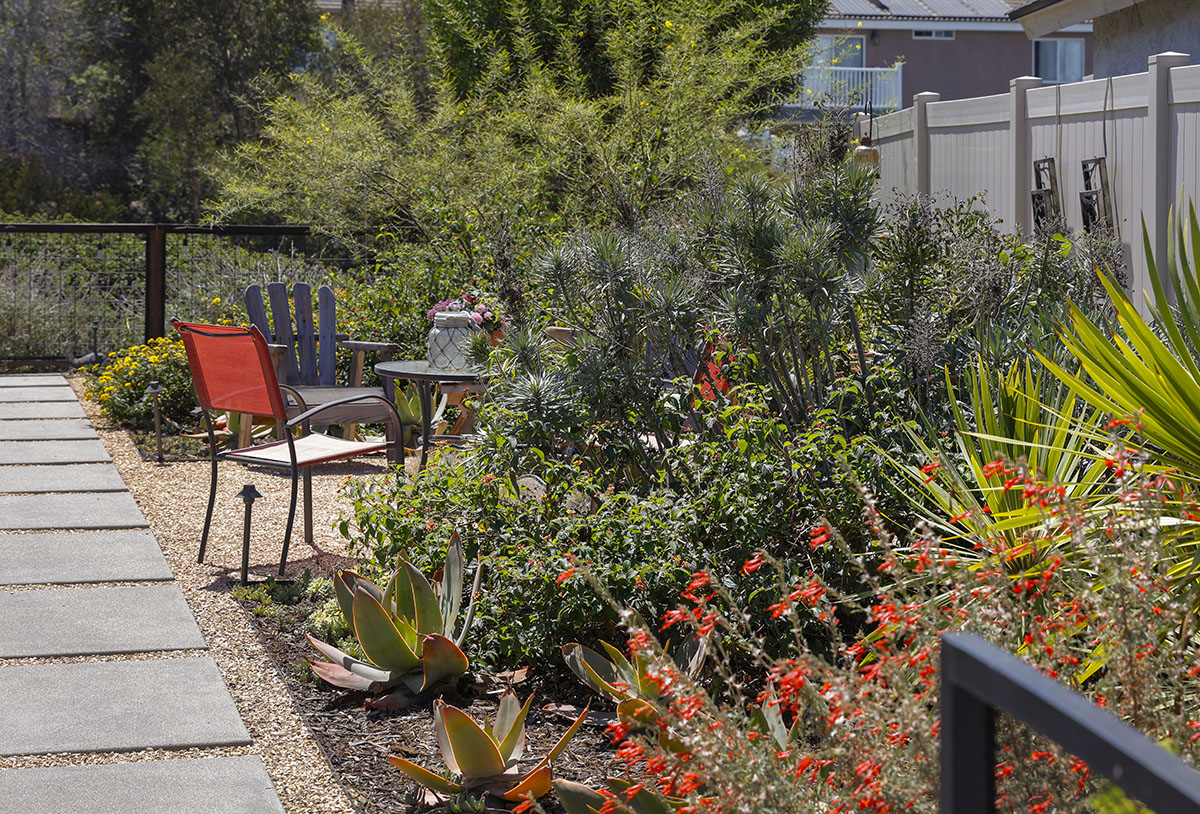 Outdoor garden